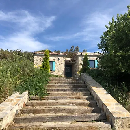 The Old Stone Well Vineyard *
