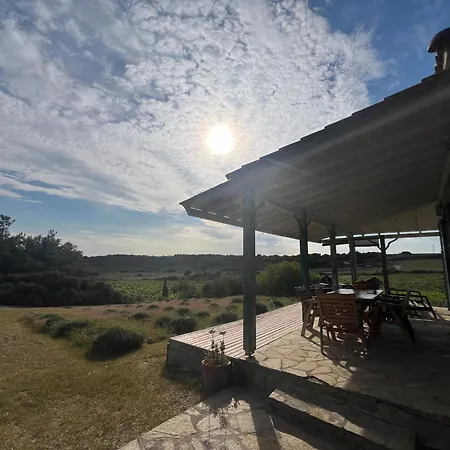 Tatil Evi The Old Stone Well Vineyard